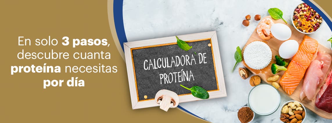 Imagen banner para calculadora de proteína